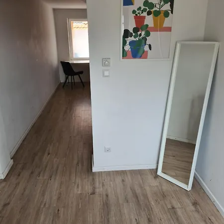 Immergruen *